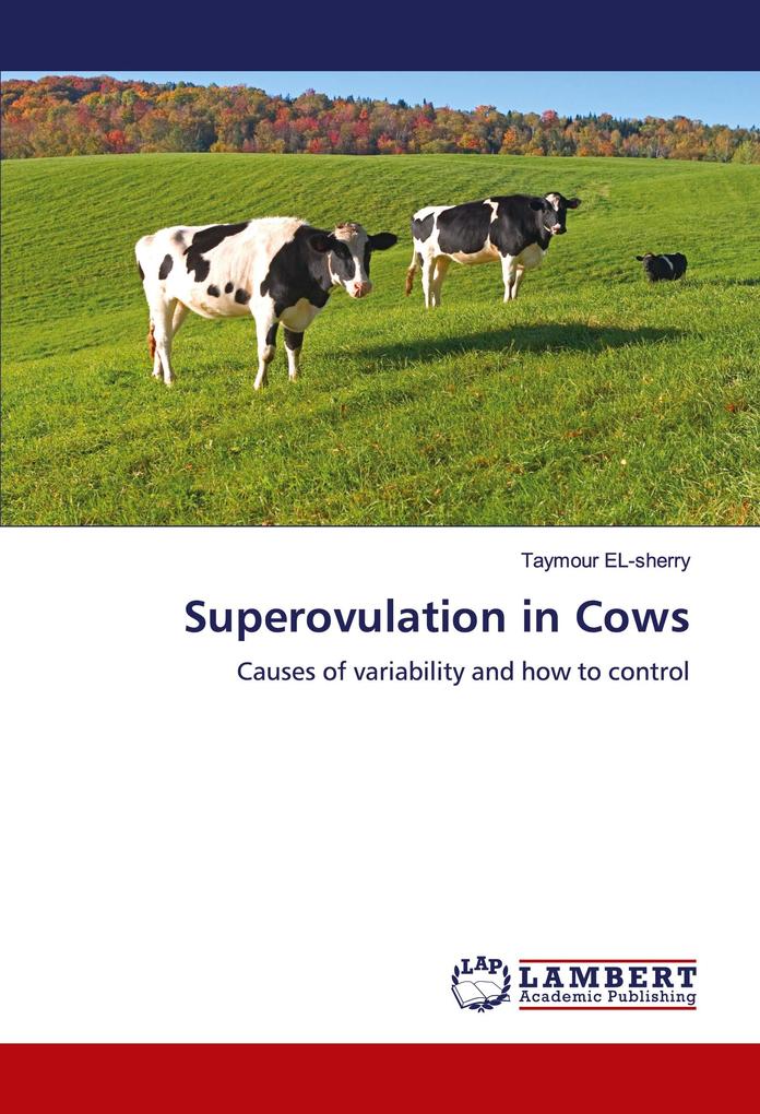 Superovulation in Cows