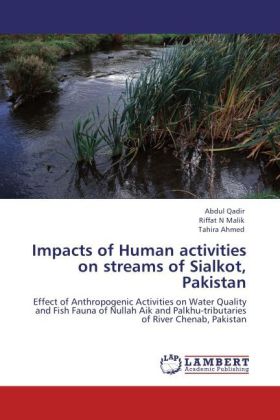 Impacts of Human activities on streams of Sialkot Pakistan