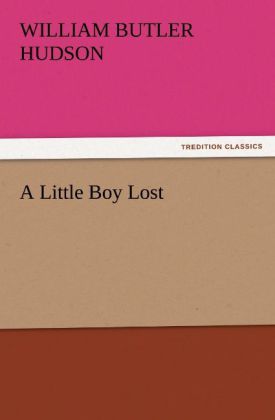 A Little Boy Lost