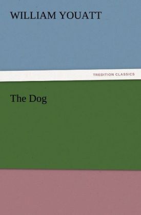 The Dog