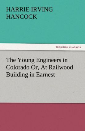 The Young Engineers in Colorado Or At Railwood Building in Earnest
