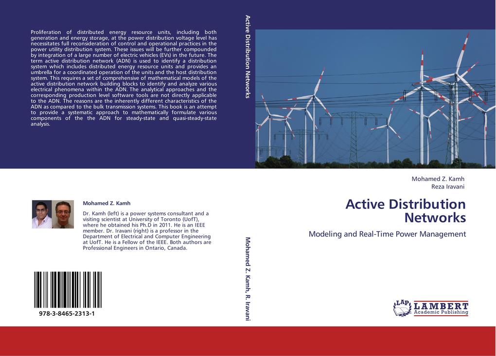 Active Distribution Networks