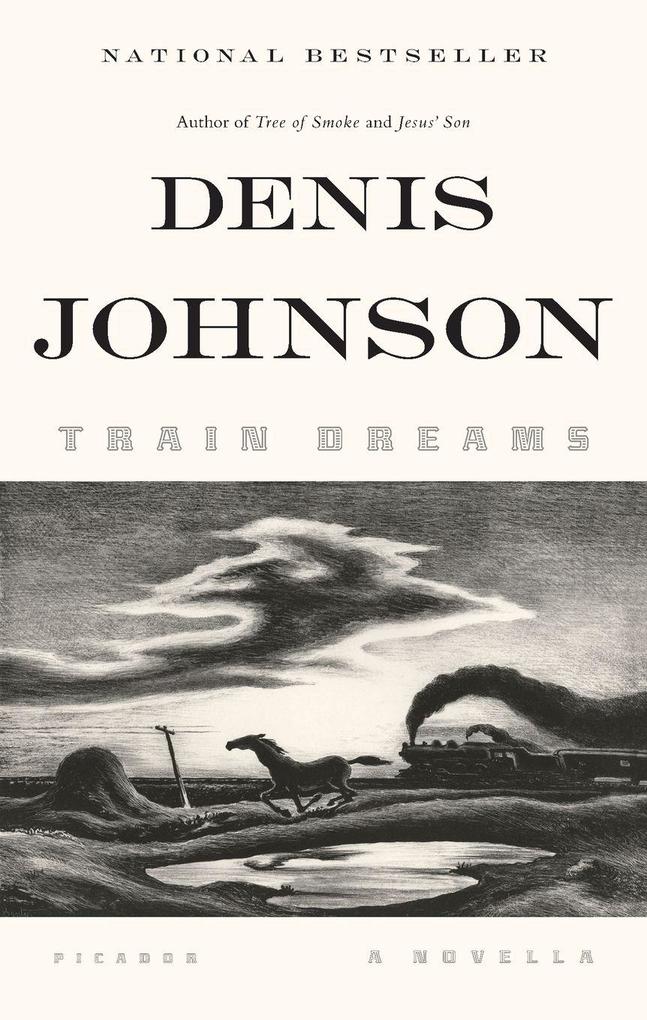 Picador Paper Train Dreams