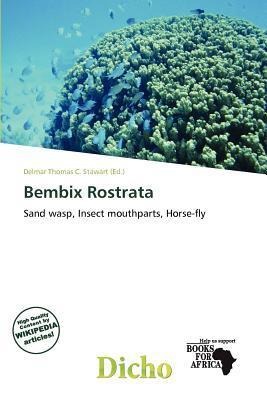 Bembix Rostrata
