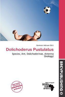 Dolichoderus Pustulatus