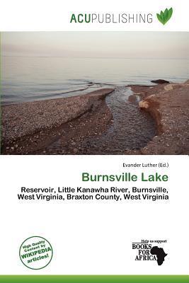 Burnsville Lake