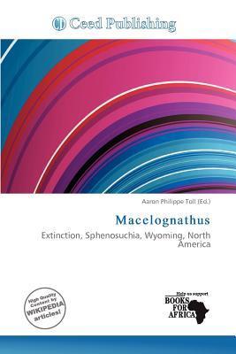 Macelognathus