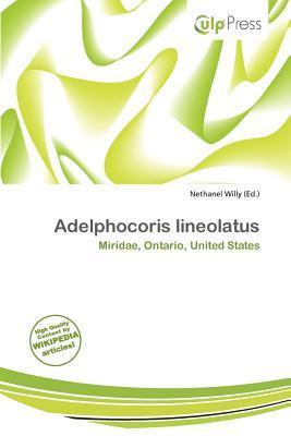 Adelphocoris lineolatus