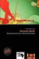Ancona duck