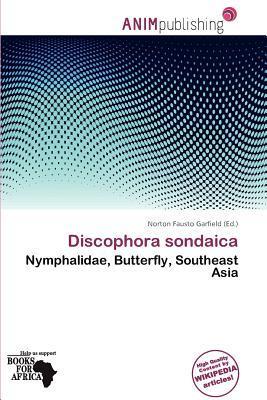 Discophora sondaica