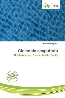 Cicindela sexguttata