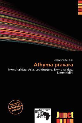 Athyma pravara