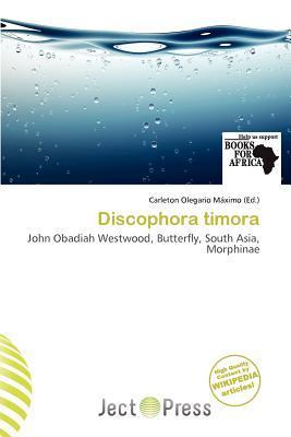 Discophora timora
