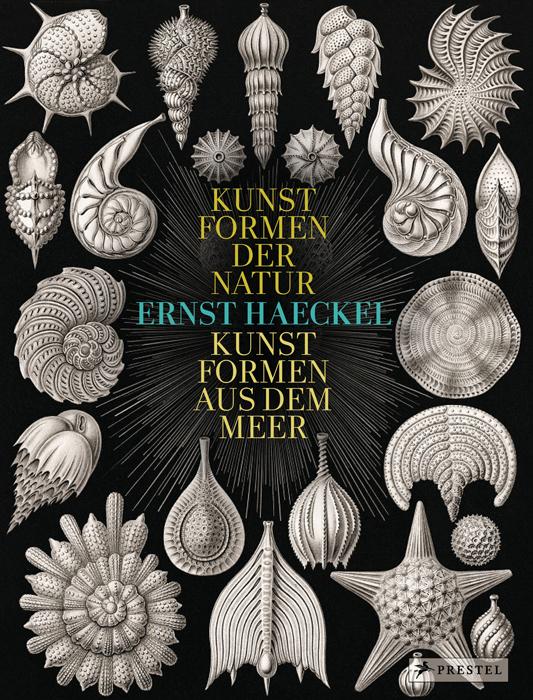 Prestel Verlag Ernst Haeckel - Bild 4