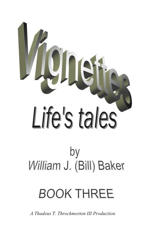 Vignettes - Life‘s Tales Book Three