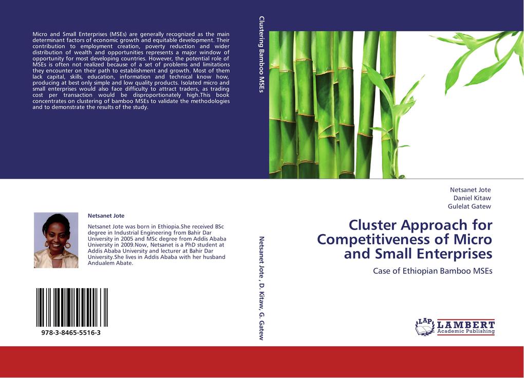 Cluster Approach for Competitiveness of Micro and Small Enterprises