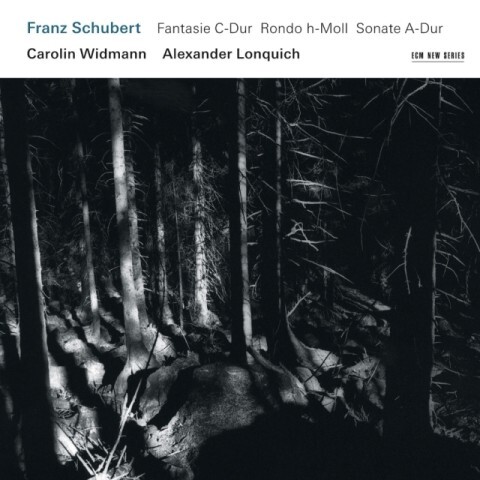 Fantasie C-Dur / Rondo h-Moll / Sonate A-Dur 1 Audio-CD
