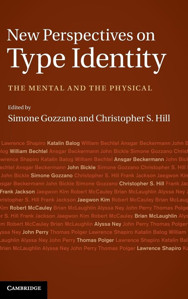 New Perspectives on Type Identity