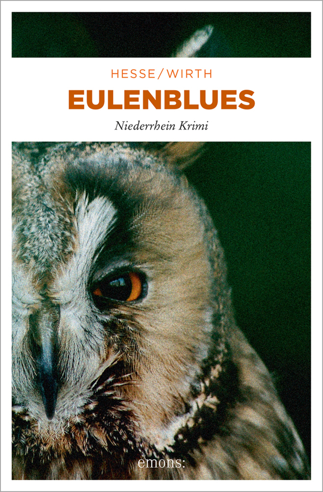 Emons Verlag Eulenblues - Bild 4