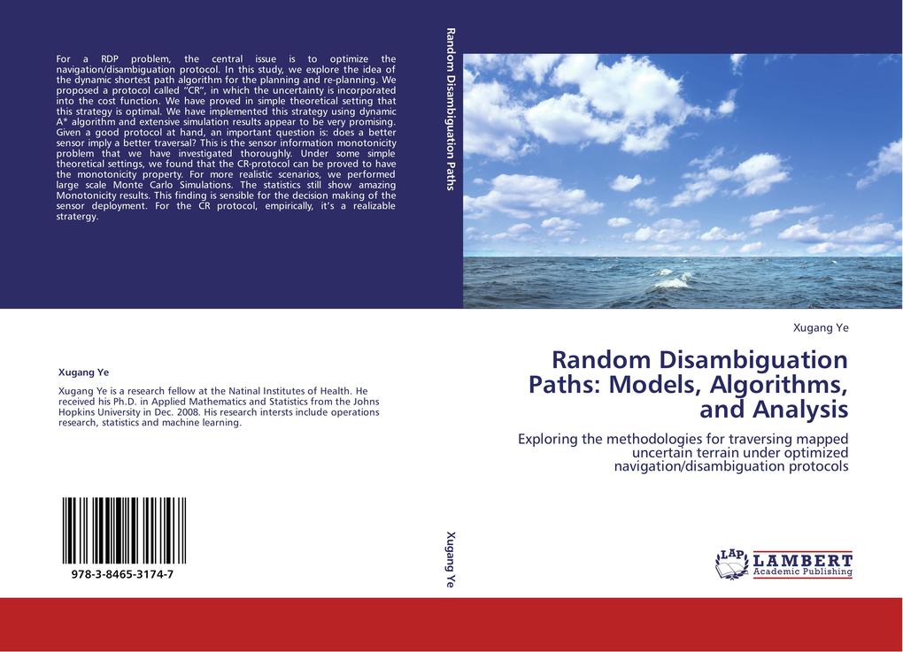 Random Disambiguation Paths: Models Algorithms and Analysis
