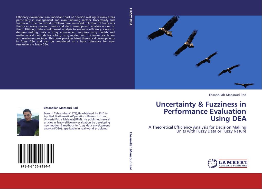 Uncertainty & Fuzziness in Performance Evaluation Using DEA