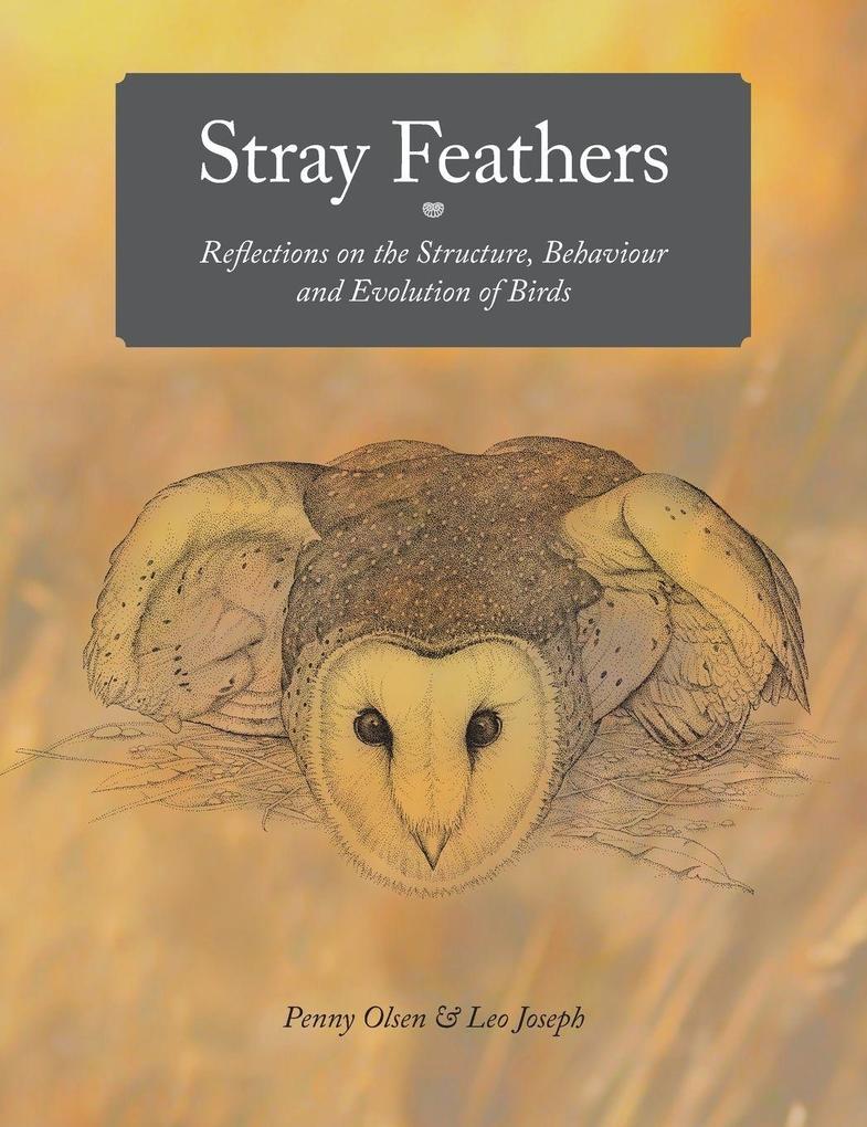Stray Feathers