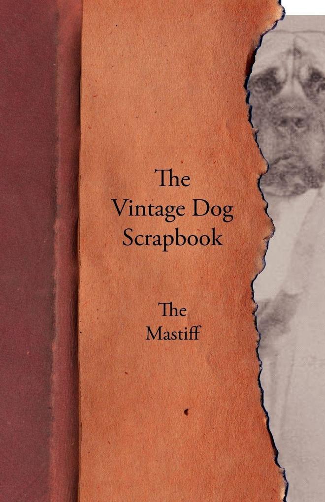 The Vintage Dog Scrapbook - The Mastiff