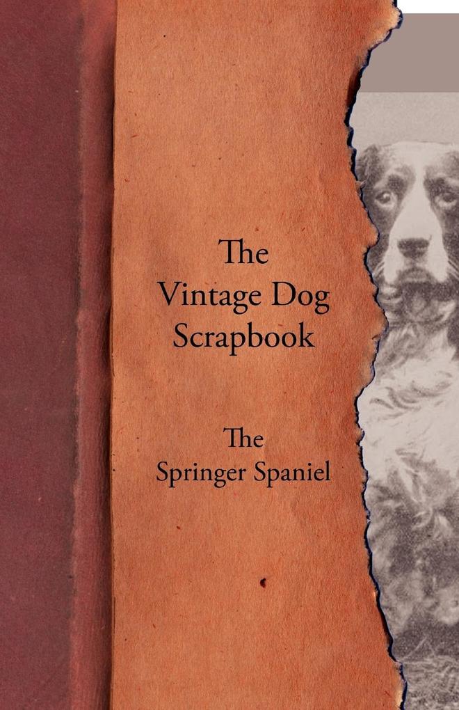 The Vintage Dog Scrapbook - The Springer Spaniel