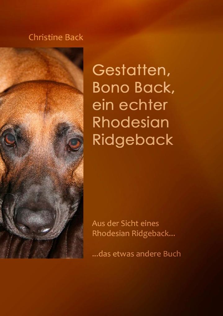 Gestatten Bono Back ein echter Rhodesian Ridgeback