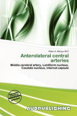 Anterolateral central arteries