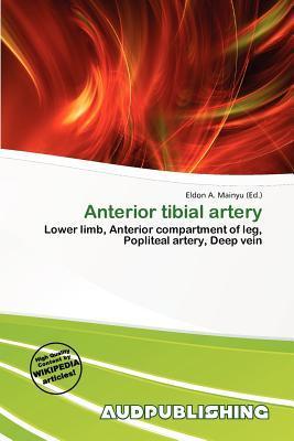Anterior tibial artery