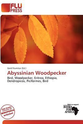 Abyssinian Woodpecker