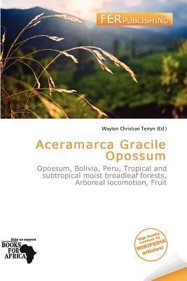 Aceramarca Gracile Opossum