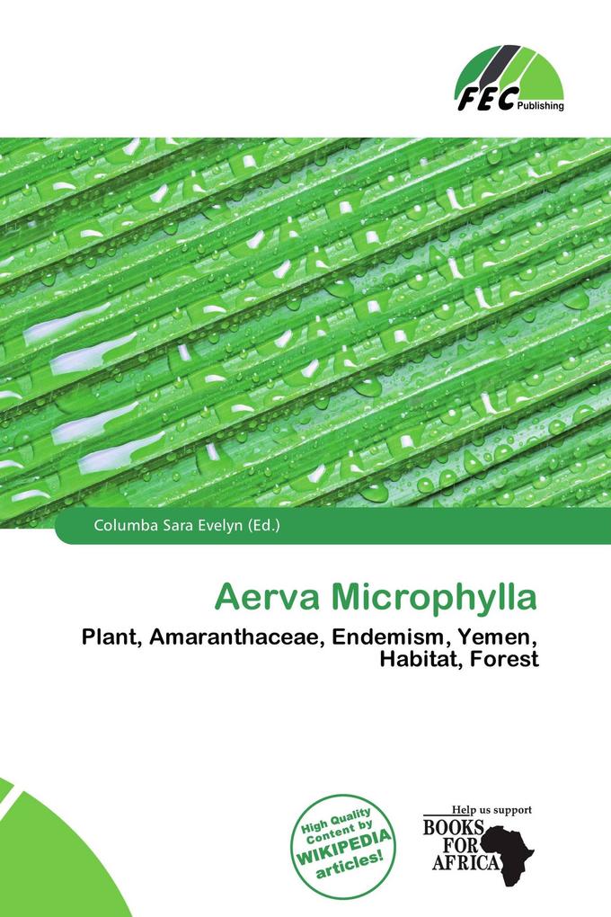 Aerva Microphylla