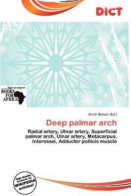 Deep palmar arch
