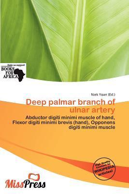 Deep palmar branch of ulnar artery
