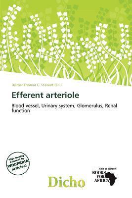 Efferent arteriole