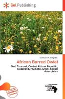 African Barred Owlet