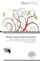 African Brush-tailed Porcupine