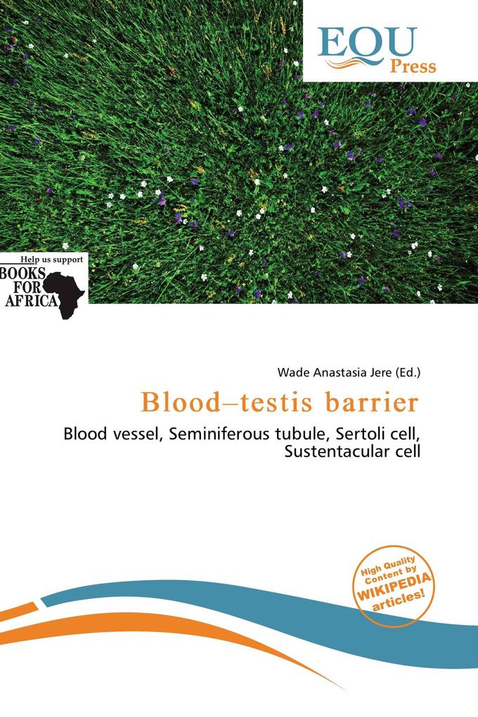 Blood-testis barrier