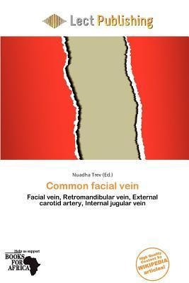 Common facial vein