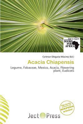 Acacia Chiapensis