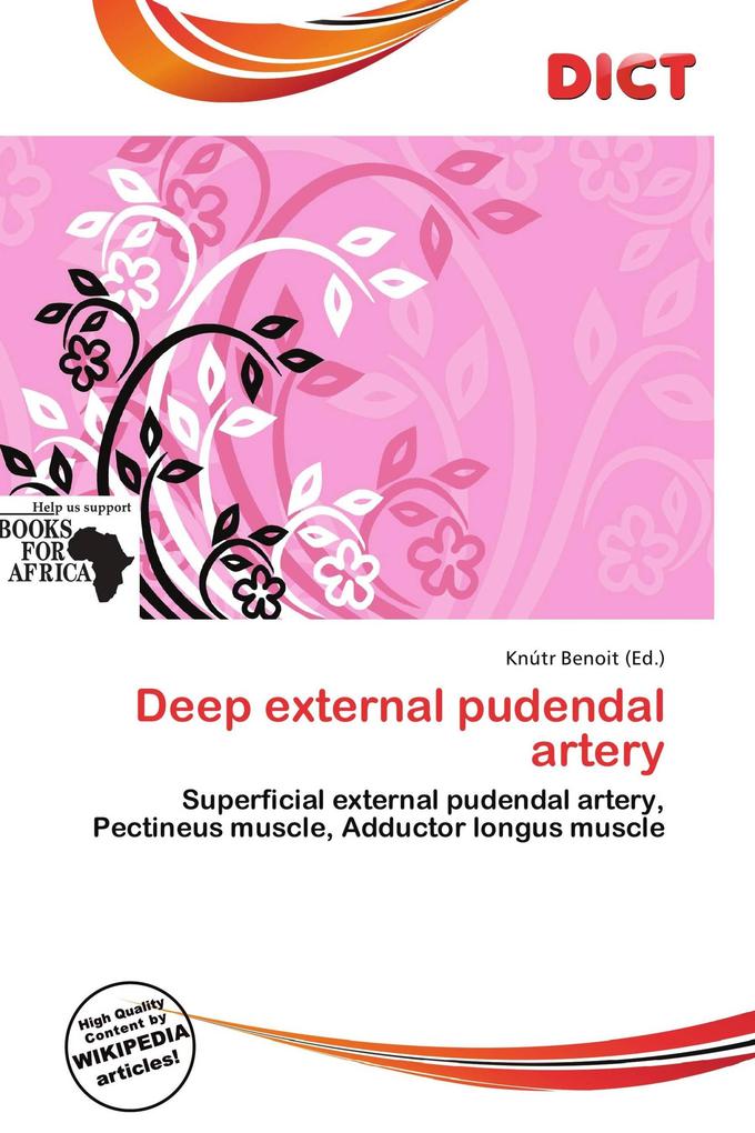 Deep external pudendal artery