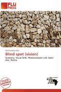 Blind spot (vision)