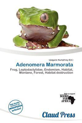 Adenomera Marmorata