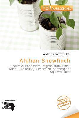 Afghan Snowfinch