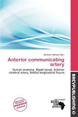 Anterior communicating artery