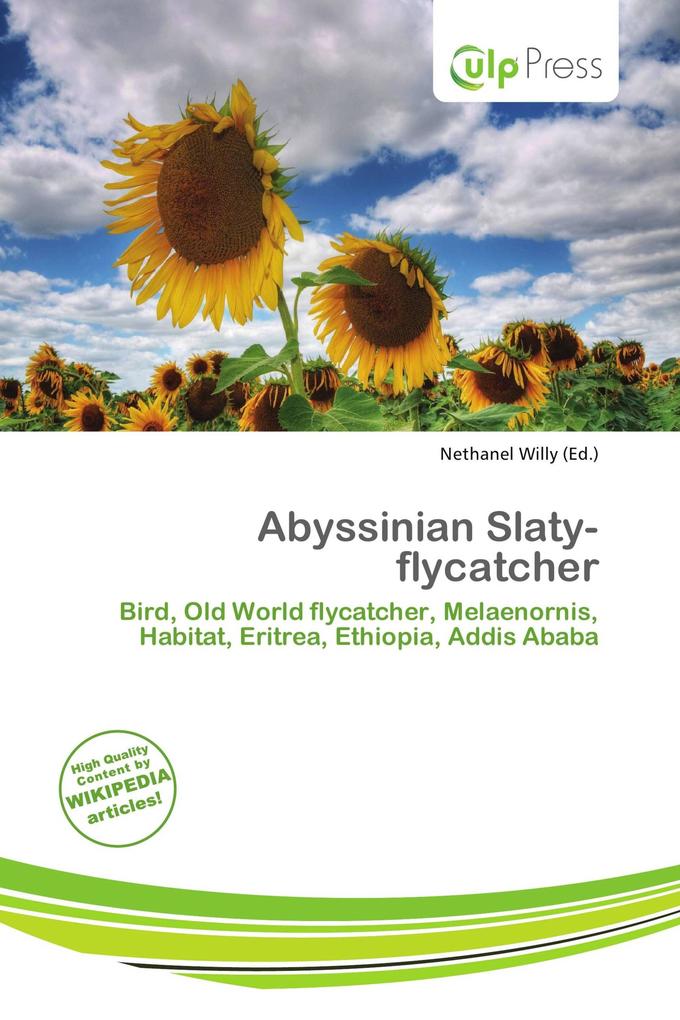 Abyssinian Slaty-flycatcher