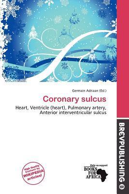 Coronary sulcus