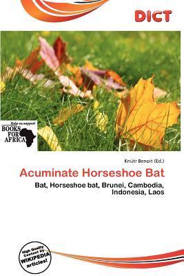 Acuminate Horseshoe Bat